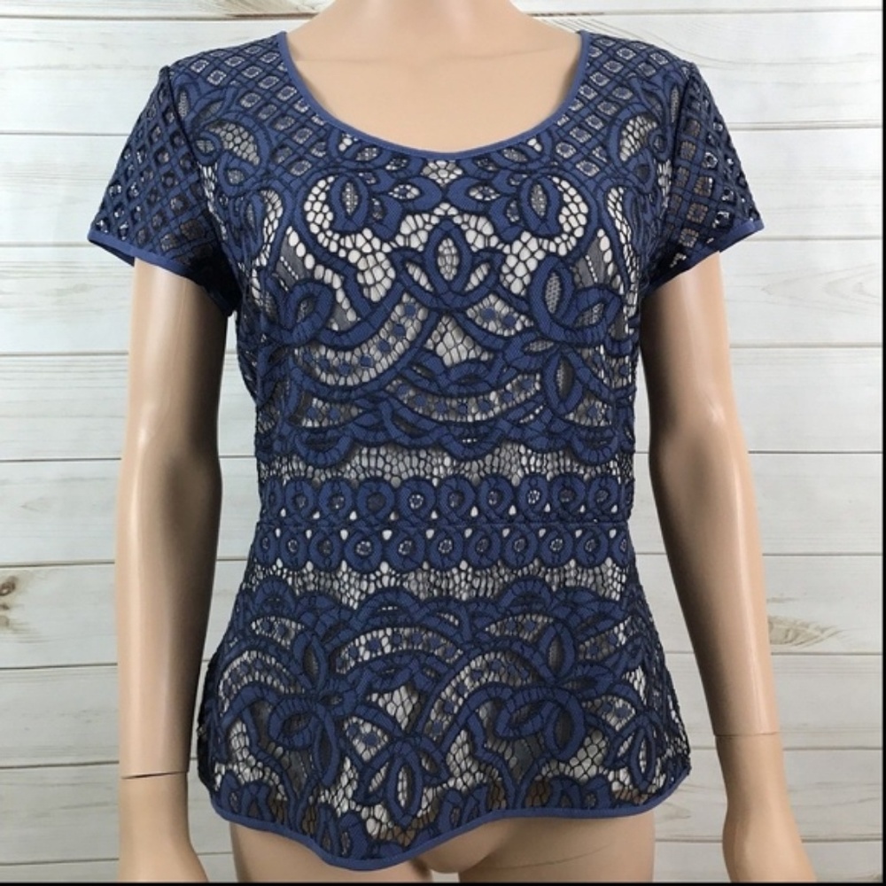 Ann Taylor Lace Knit Peplum Top M Blue Back Zip